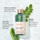 thumbnail image 3 of Limpiador Biossance Squalane + Amino Aloe Gentle 200 ml, 3 of 6