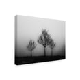 thumbnail image 2 of Trademark Fine Art 'In the Fog Crop' Canvas Art by Aledanda, 2 of 3