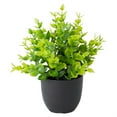 thumbnail image 2 of ERTZAE 2Pc Artificial Greenery Potted Plants,Indoor Tabletop Home Decor,Maintenance-Free Plant Combination,Multi-Style Greenery Ornament,Natural Atmosphere Plant,Space-Friendly Potted Greenery J, 2 of 9
