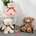 thumbnail image 5 of Bonito oso de peluche suave, muñecos de peluche, regalo para niños, 50cm, rosa Afortunado Sencillez, 5 of 5