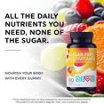 thumbnail image 2 of LIVS Sugar Free Multivitamin Gummies for Adults & Kids – Vegan Gummy Vitamin with A, C, D, B-Complex (B3, B5, B6, B12), Biotin & Zinc | Multivitamin Supplements for Overall Wellness & Support - 60 Ct, 2 of 7