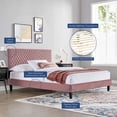 thumbnail image 5 of Modway Garcelle Performance Velvet King Platform Bed, 5 of 9