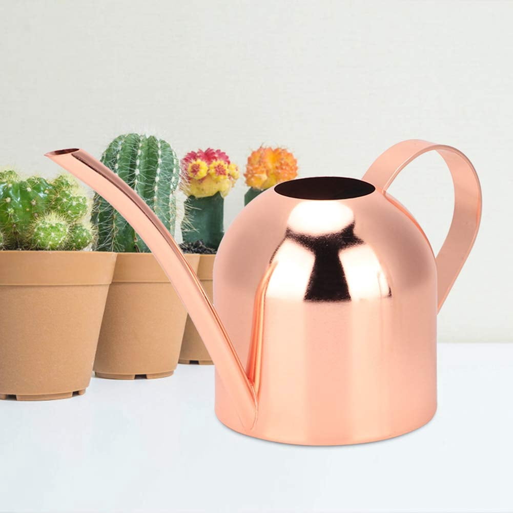 500 ml Stainless Steel Watering Can, Watering Can with Long Spout, for Indoor and Outdoor Indoor Plants (Gold) - ROSE GOLD