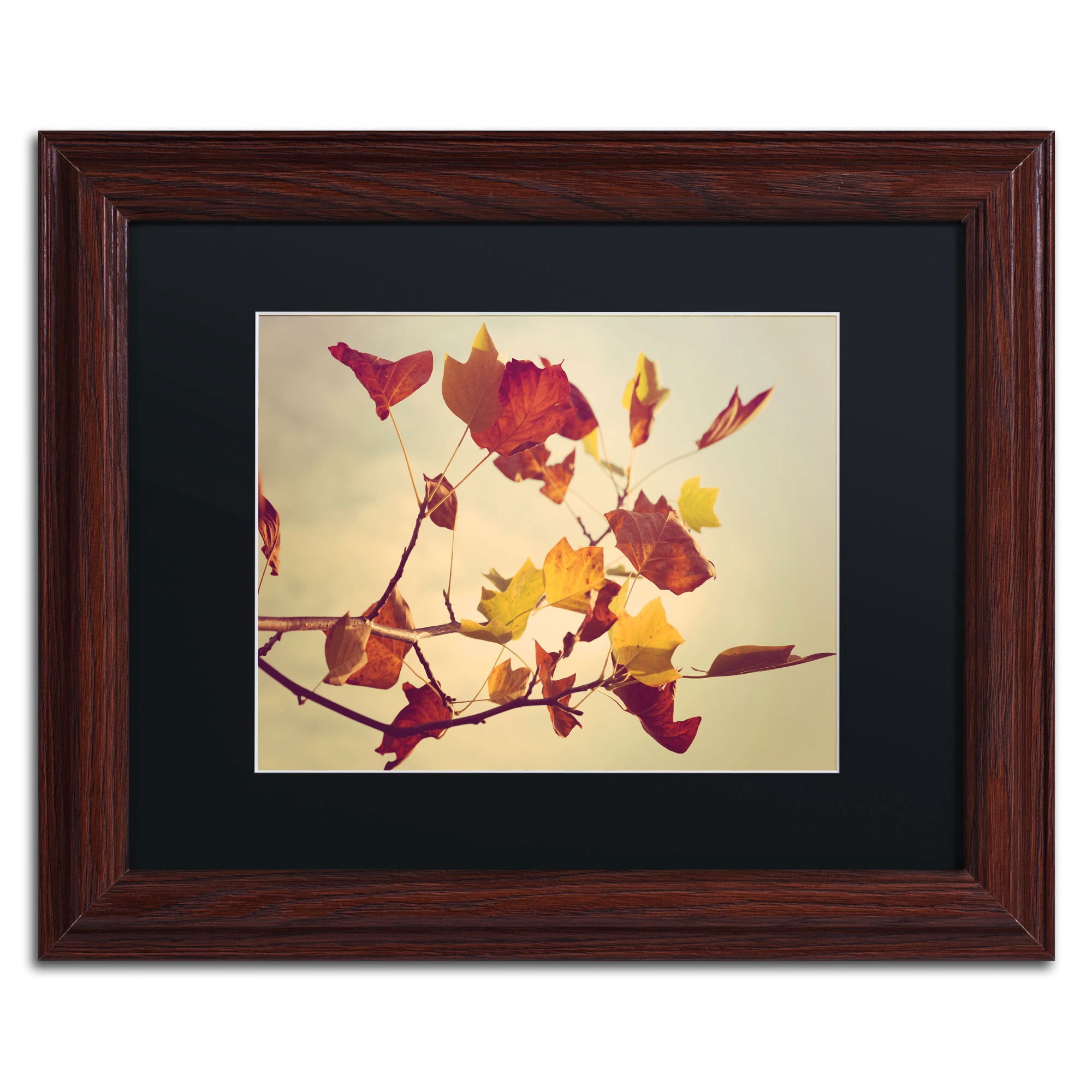 Trademark Fine Art "Still Fall" Canvas Art by Philippe Sainte-Laudy, Black Matte, Wood Frame