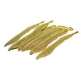 thumbnail image 5 of GUOOL 10 Pieces 110mm Gold Plated Metal Feather Bookmarks with Loop DIY Handmade Beading Book Markers School Office Reading Gift Crafts, 5 of 9