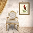 thumbnail image 3 of Nodder, Frederick P. 15x18 Gold Ornate Wood Framed with Double Matting Museum Art Print Titled - Crimson Birds III, 3 of 4