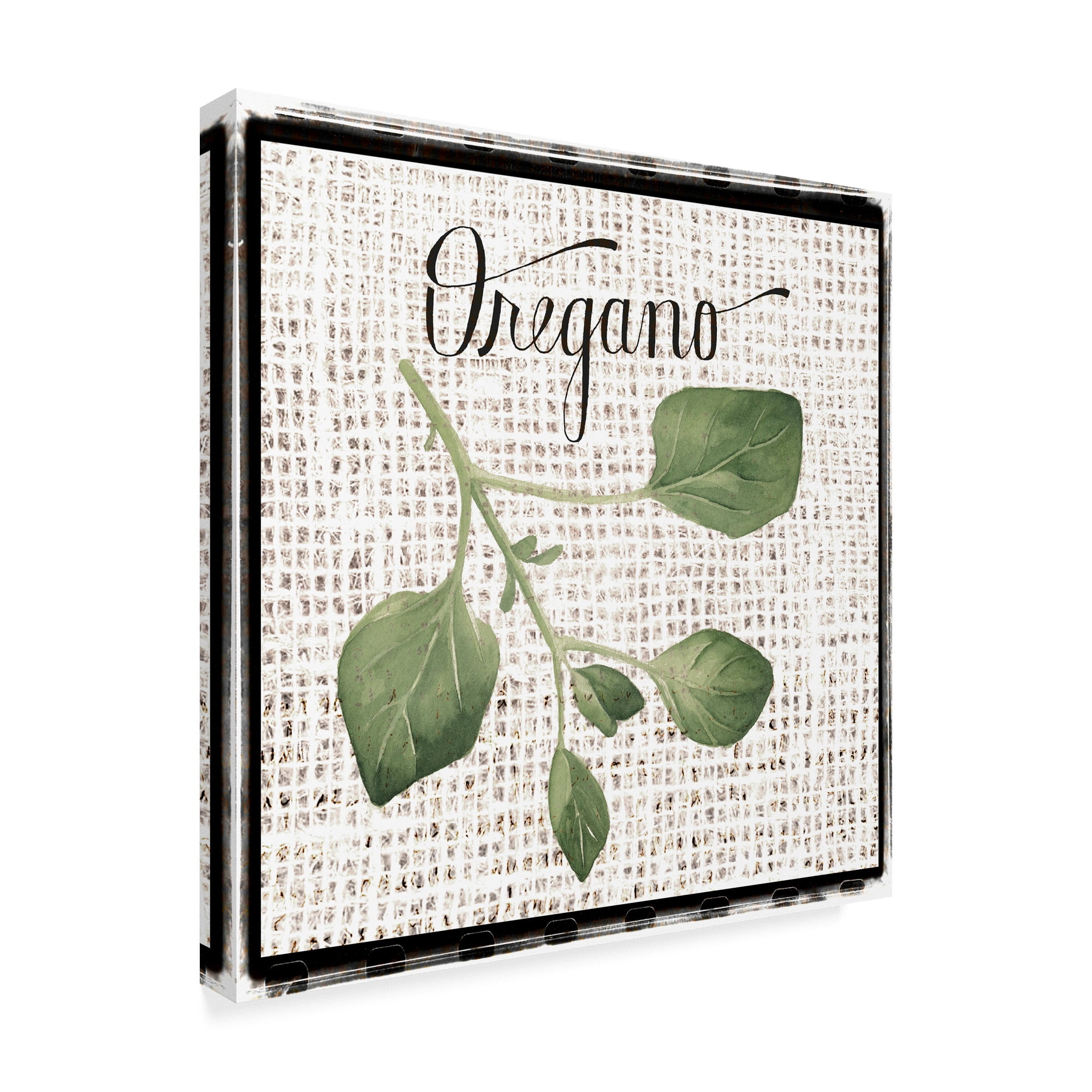 Trademark Fine Art 'Burlap Herbs II' Canvas Art by Grace Popp
