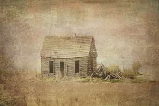 Abandoned Canvas Ar