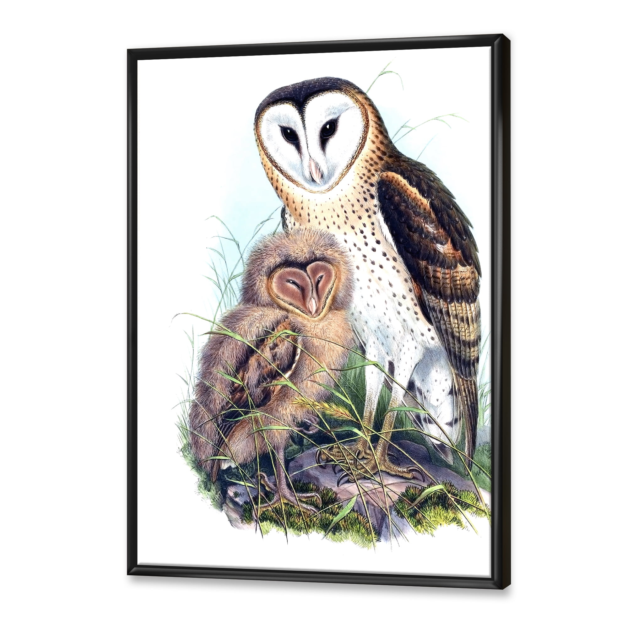 Ancient Birds I 30 in x 40 in Framed Painting Canvas Art Print, by Designart