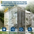 thumbnail image 6 of 8 x 6 FT Wooden Greenhouse, Walk-in Greenhouses with Polycarbonate Panels, Lockable Door, Wood Frame & Adjustable Vent for Backyard Gardening, 6 of 9