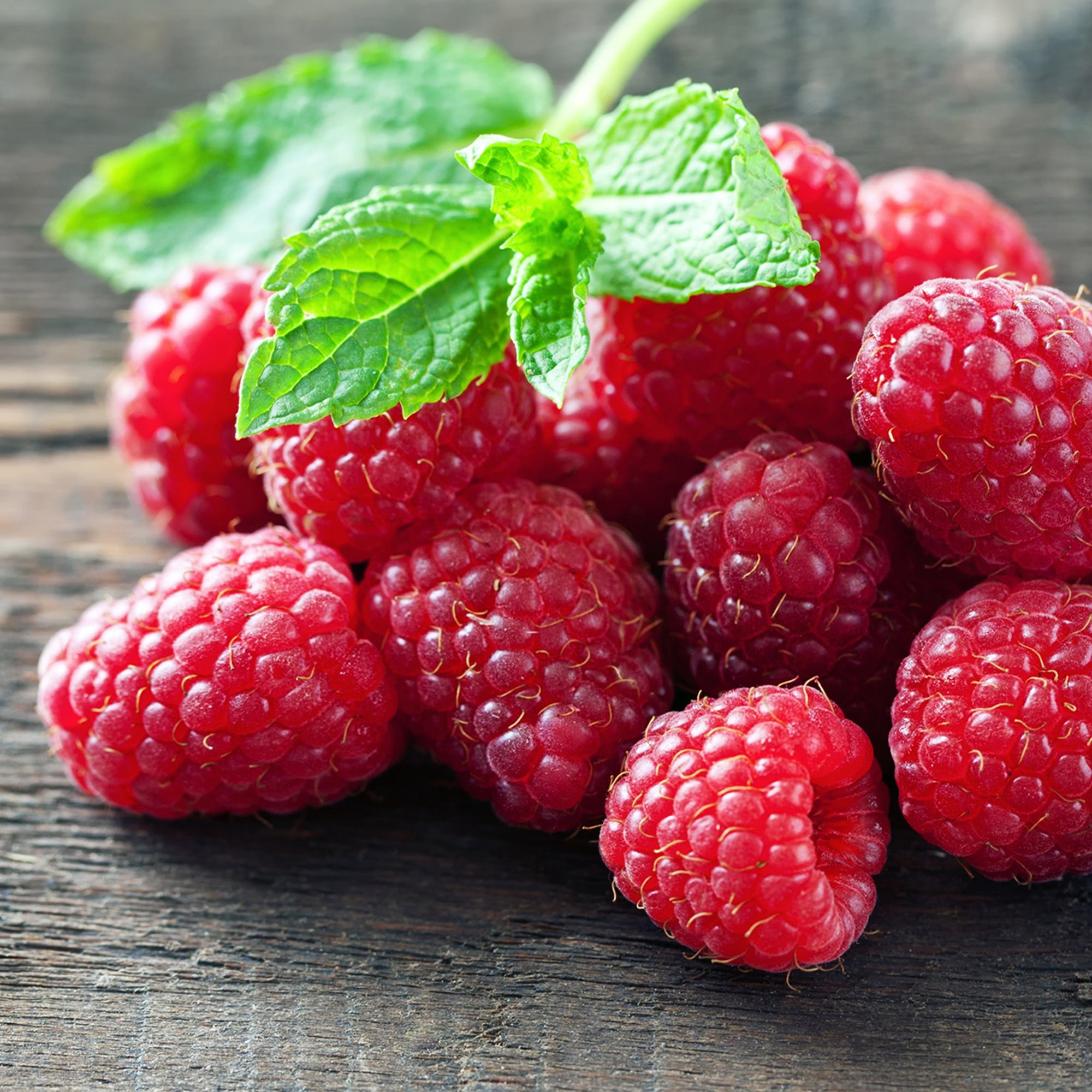 Expert Gardener Nantahala Raspberry Live Shrub, 1 gal