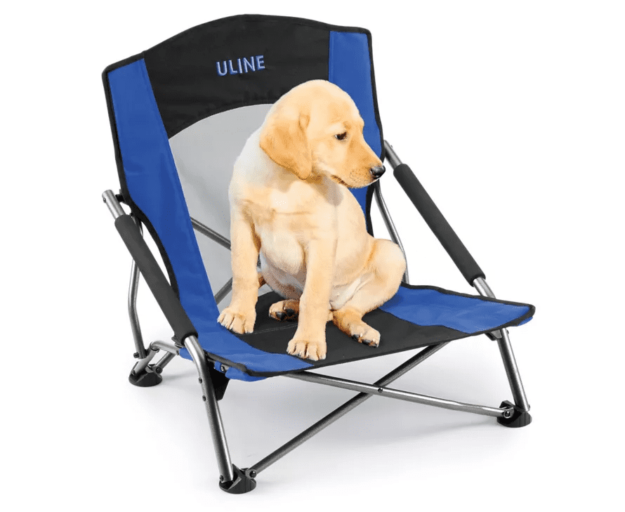 Event Chair the Perfect Lawn Seat for Outdoor Concerts and Jazz in The