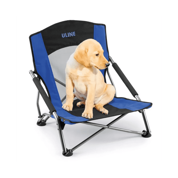 Event Chair the Perfect Lawn Seat for Outdoor Concerts and Jazz in The