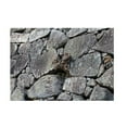 thumbnail image 2 of DOLITY 3D Aquarium Landscape Wallpaper Adhesive Poster PVC Tank Backdrop Sticker Stone Stone 61x41cm, 2 of 8