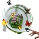 thumbnail image 4 of Kit de Cultivo de Mariposas - Jaula Plegable para Mariposas - 35 X 30 cm - Terrario con Transparente, 4 of 5