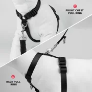 MASBRILL No Pull Dog Harness Soft Basic Nylon Adjustable Dog Vest Easy Walking Harness