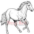 thumbnail image 2 of Deep Red Stamps Wild Horse Rubber Stamp, 2 of 4