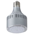 thumbnail image 2 of Light Efficient Design LED Bulb,Mogul Screw (E39),4200K,30W  LED-8055M42, 2 of 2