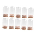 thumbnail image 2 of 10 campanas de cristal con base de corcho para exhibir accesorios. 30 mmx50 mm, 2 of 9