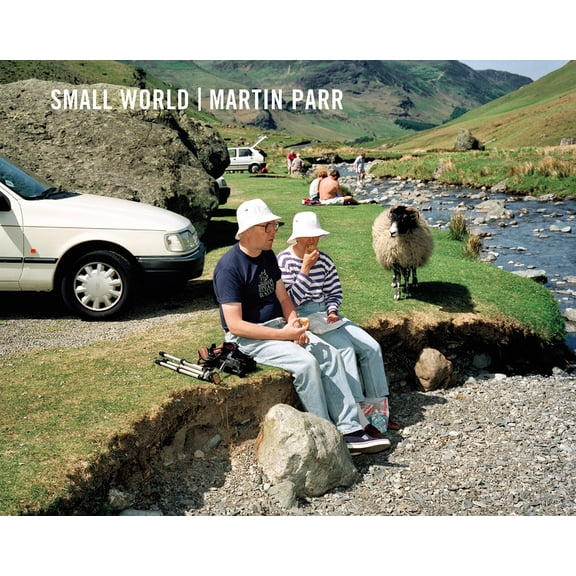 Small World, (Hardcover)