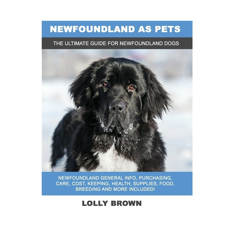 How Much Should I Feed My Newfoundland