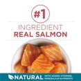 thumbnail image 4 of Purina One Natural Tender Selects Blend with Real Salmon Dry Cat Food 7 lb Bag (Pack of 8), 4 of 9