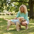 thumbnail image 5 of Cooling vest suitable for small to very large dogs - adjustable cooling jacket with reflective tape（Blue,M）, 5 of 6