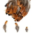 thumbnail image 7 of 200PCS Assorted Feathers, 4 Styles Chicken Feathers for DIY Crafts Dream Catcher Carnival Costume Party Mask Decoration, 7 of 7