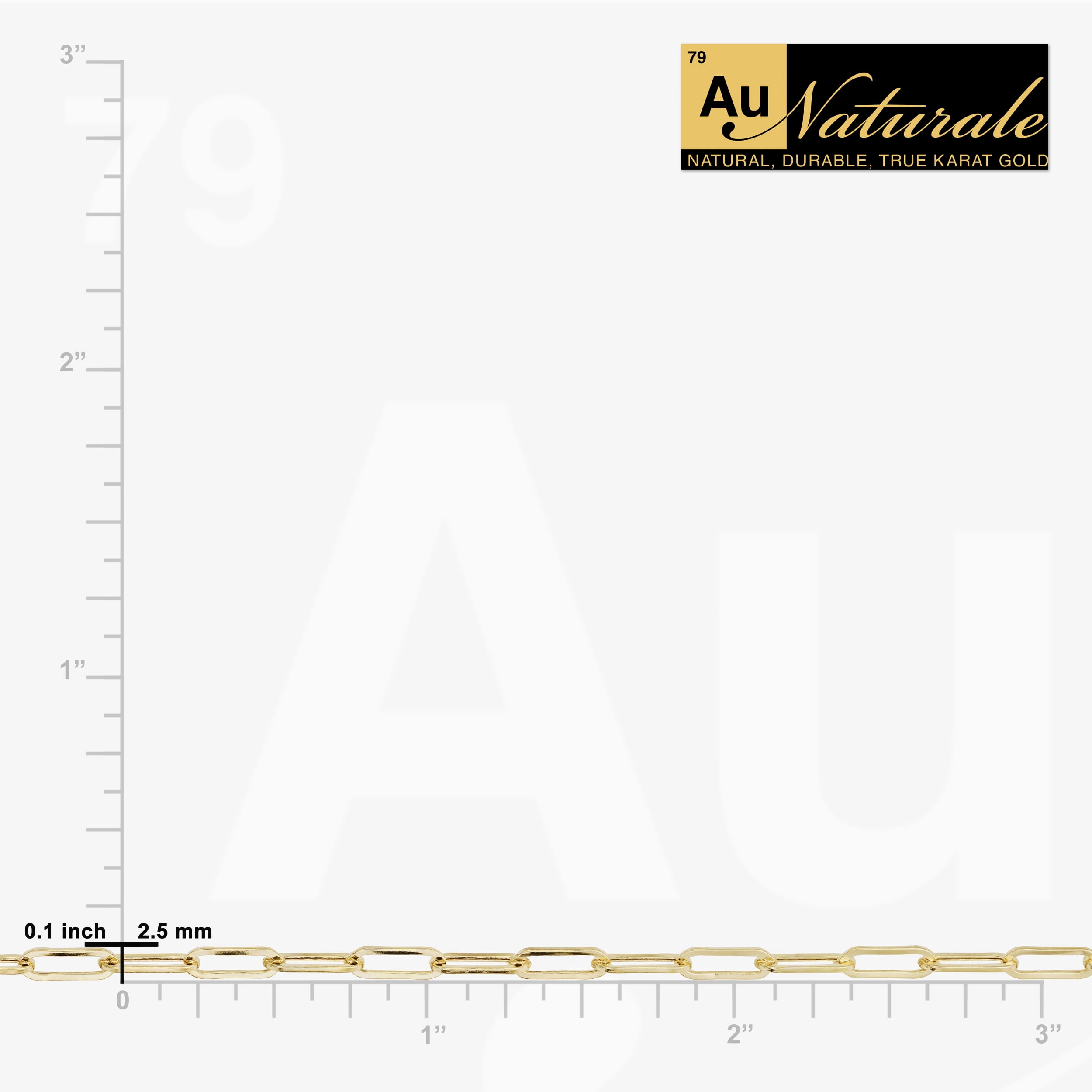 Au Naturale 14k Yellow Gold Paperclip Chain Ankle Bracelet for Women (2.5 mm, 10 inch)