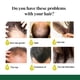 thumbnail image 3 of EELHOE Spray para el cabello de jengibre (caja de 50 ml) Fortalecimiento del cabello Masaje del cuero cabelludo Reparación del cabello Solución para el cuidado del cabello,1 piezas, 3 of 9