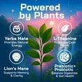 thumbnail image 6 of Yerba Magic Peach Mango - 10 Stick Pack, 6 of 7