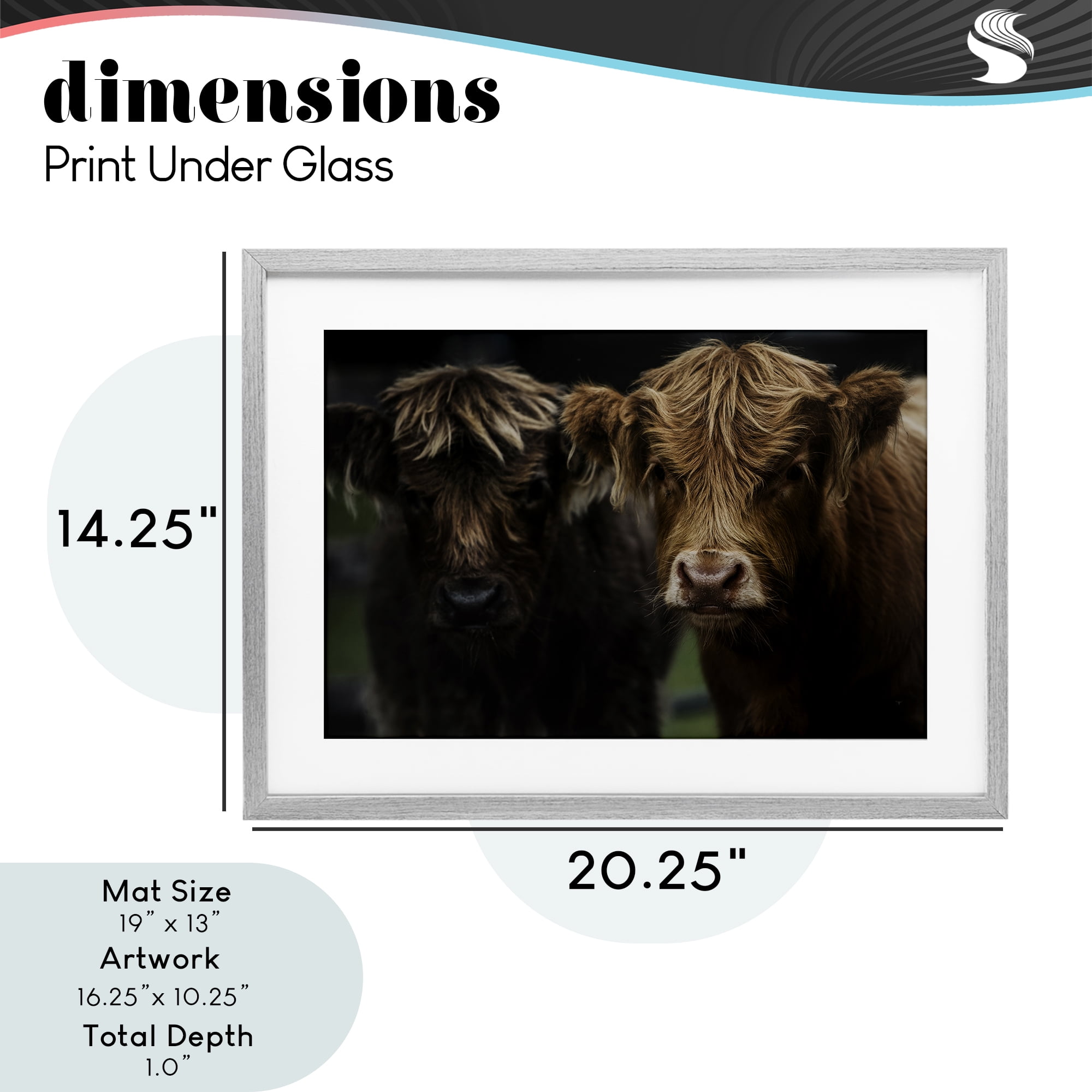 Cow Faces Highland Pair Gray Framed Print Under Glass, design by Amy Carroll