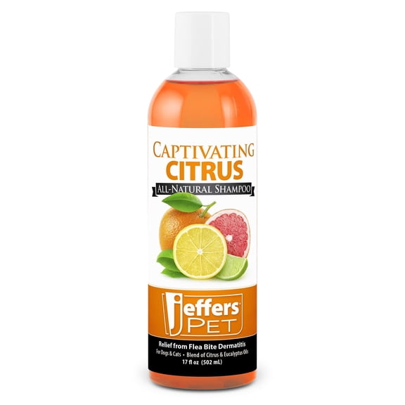 Jeffers Pet Captivating Citrus Shampoo, 17 oz – Soap Free Grooming for Dogs, Cats & Puppies – Orange & Lime Scent, Aloe & Coconut Oil – Safe for All Coat Types – Easy Rinse Formula for Home