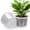 10 Inch-10pcs, variant on Inch Large Clear Nursery Pots with Drainage Hole, Plastic Plant Pots for Seedling Flower Vegetable, Indoor Outdoor Gardening, Used as Liner Inside Decorative Pot