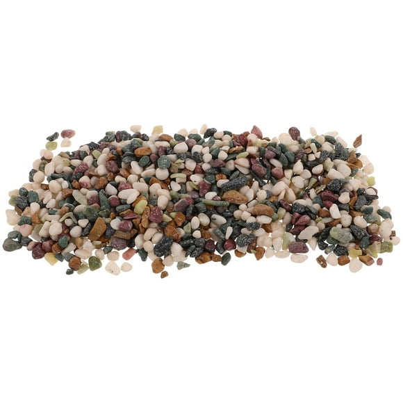 PAMINGONO 1 Pound Succulent Soil Gravel for Aquarium and Plant Decorations