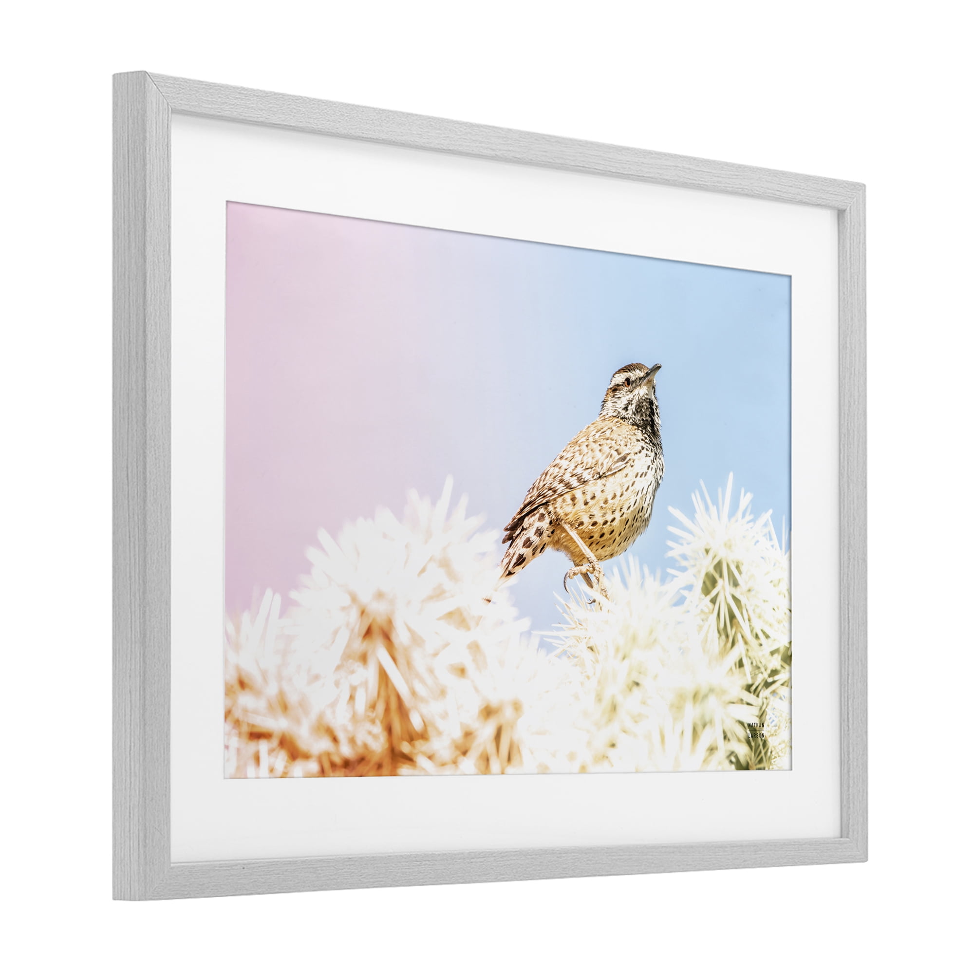 Stupell Industries Desert Song Bird Gray Framed Print Under Glass, design by Nathan Larson