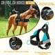 thumbnail image 2 of Arnés para perros SlowTon sin tirones con correa para perros medianos y grandes, 2 of 8
