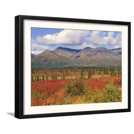 Tundra Landscape in Autumn, Denali National Park, Alaska USA Framed Art Print Wall Art