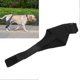 thumbnail image 3 of Dog Knee Brace Breathable Supportive Reduce Pain Joint Protection Dog Hind Legs Protector for Postoperative Recovery XL Left Leg, 3 of 5