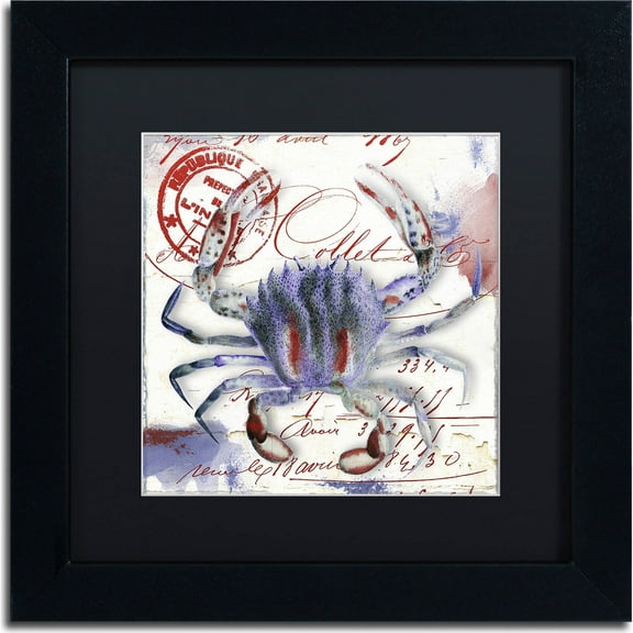 Trademark Fine Art "Oceania II" Canvas Art by Color Bakery, Black Matte, Black Frame