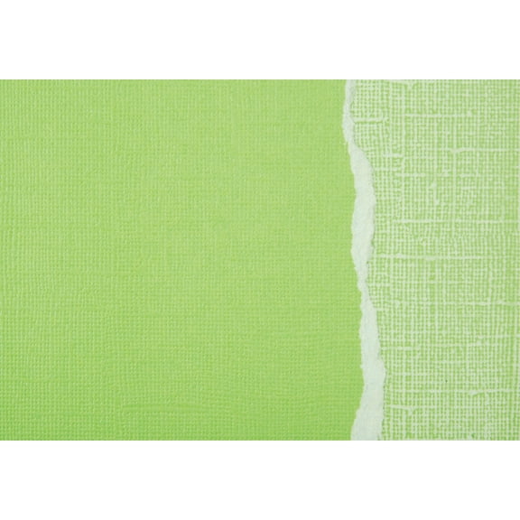 Core'dinations Sandable Cardstock 12"X12"-Lime