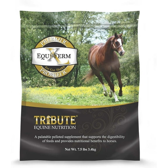 TRIBUTE Kalmbach Feeds Equiferm XL Prebiotic and Probiotic for Horse, 7.5 lb