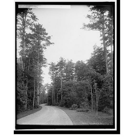 Historic Print, Driveway, Shelburne Farms, Vt., 16" x 20"