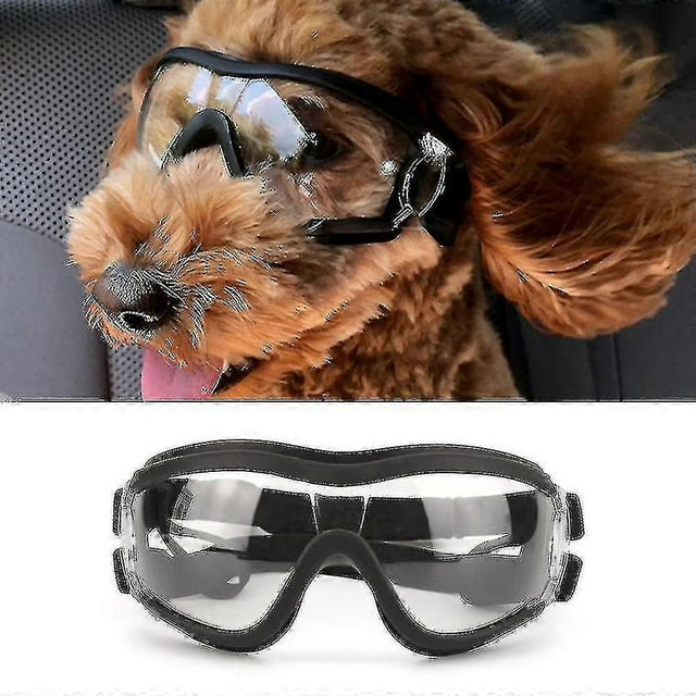 Dog Glasses Pet Sunglasses Eye