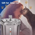 thumbnail image 5 of Cat Water Fountain, Stainless Steel Pet Water Fountain for Cats Inside, 3 Filters&Ultra-Quiet Pump, 67oz/2L Automatic Pet Fountain , Multiple Pets Water Fountain, 5 of 7