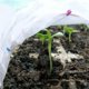 thumbnail image 5 of Cubierta De Planta De 1,6X9M, Protector De Jardín De Plántulas Anticongelante De Tela No Tejida Para Invierno, A Prueba De Congelación, A Prueba De Frío Y Preservación Del Calor matsuzay HA023734-00, 5 of 7