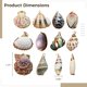 thumbnail image 4 of 12 piezas de colgantes de concha natural, dijes de concha marina natural para pulseras, collares y bisutería, decoraciones de acuario, llaveros y decoración del hogar, 4 of 5
