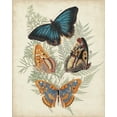thumbnail image 2 of Vision Studio 20x24 Black Ornate Wood Framed with Double Matting Museum Art Print Titled - Butterflies and Ferns V, 2 of 4