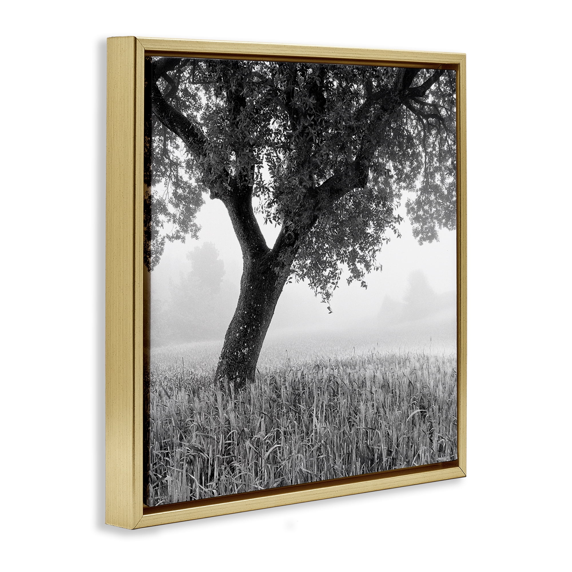 Stupell Industries Tuscan Morning Scenery Landscape & Nature Photography Gold Floater Framed Canvas Art Print Wall Art, 18 x 18