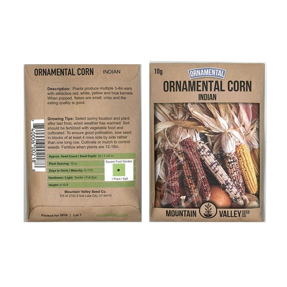 Mountain Valley Seed Company 385 Ornamental Indian Corn Plant Seeds, Non-GMO